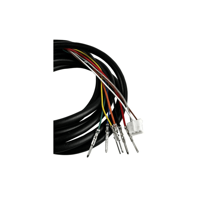 Display Minimotors Dualtron  Ey3 connecté