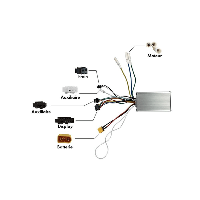 Controleur 36V pour Z8