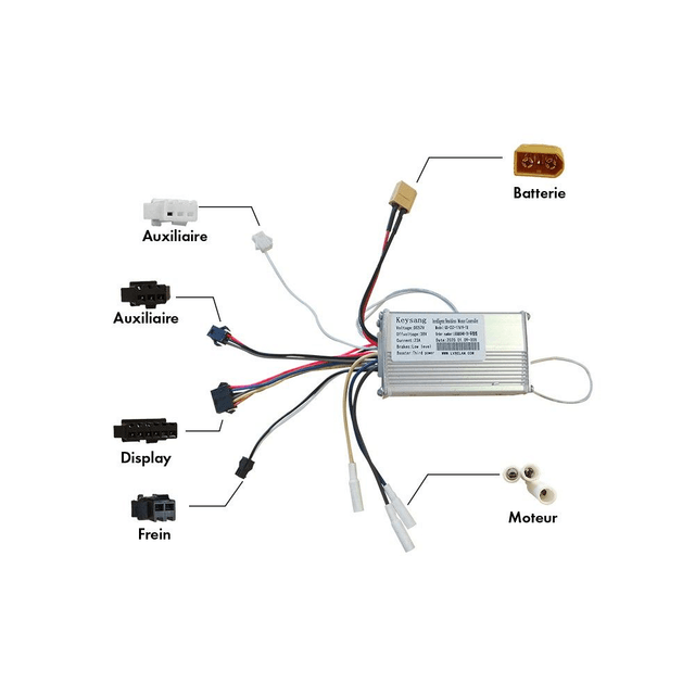 Controleur 52V pour Z8